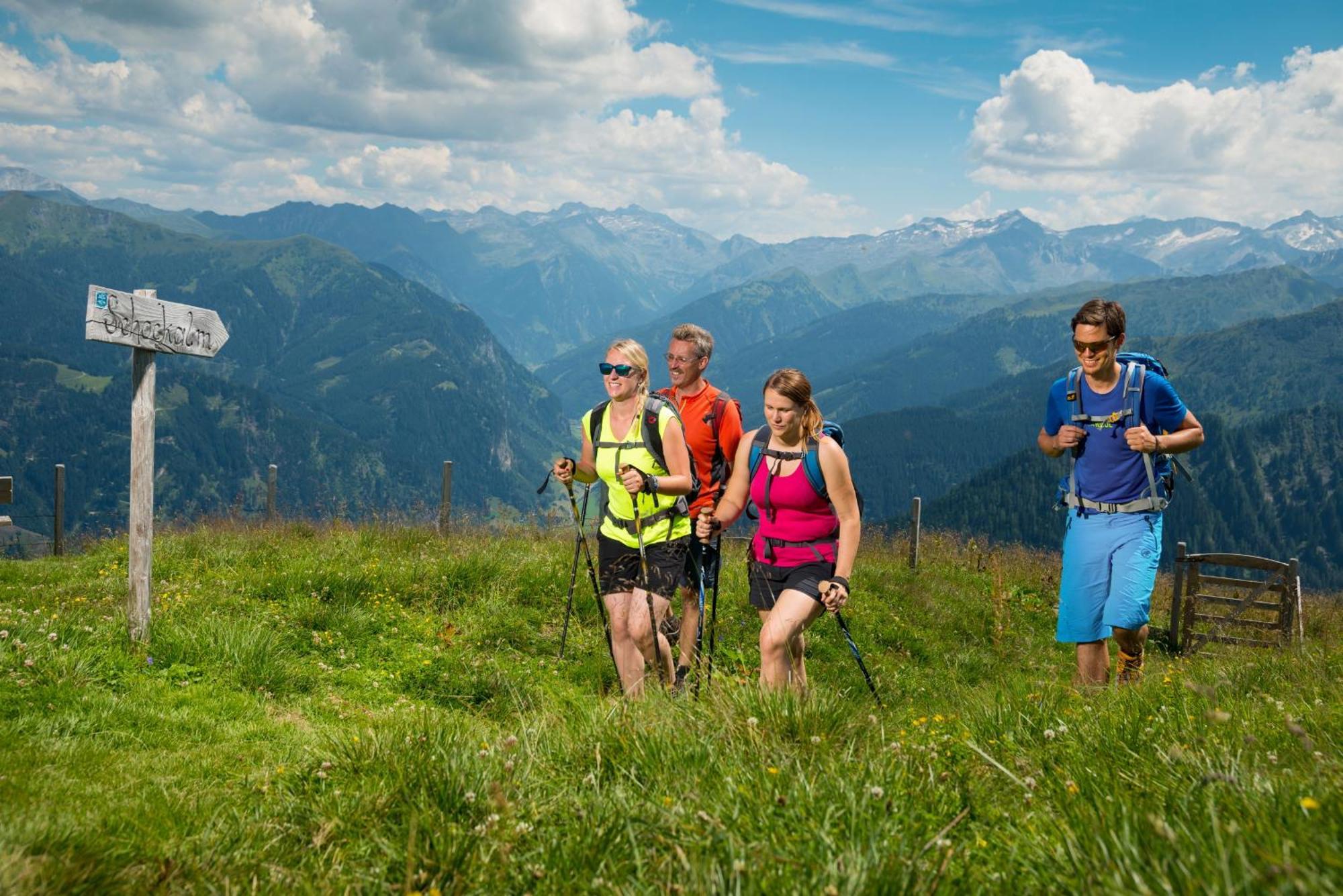 Naturhotel Huettenwirt Im Grossarltal Huttschlag Luaran gambar